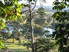 Hillfort Viewpoint