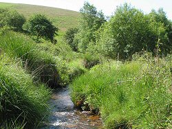 Image of Cwm Phillip valley