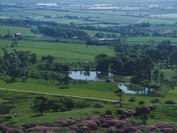 View from Pulpit Viewpoint