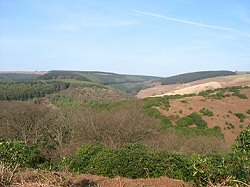 Pulpit Viewpoint