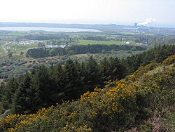 Pulpit Viewpoint