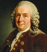 Carl Linnaeus