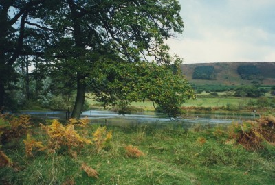 Furzemill Pond