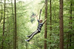 Go Ape Go Ape