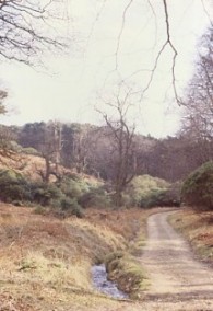 Cwm Philip Trail